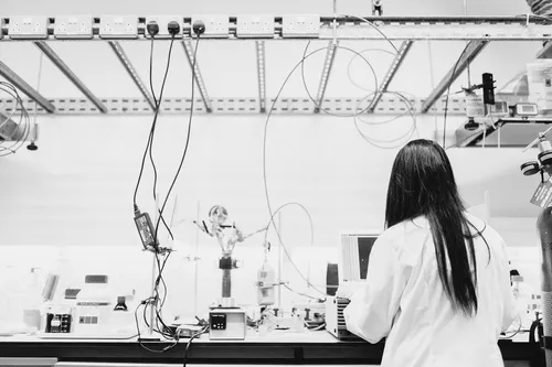 Improving Ranking Position by Maximizing Academic Achievement