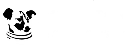 Solutions Lab Logo