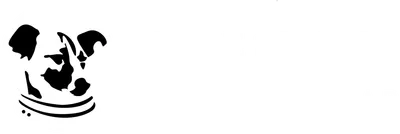 Solutions Lab Logo